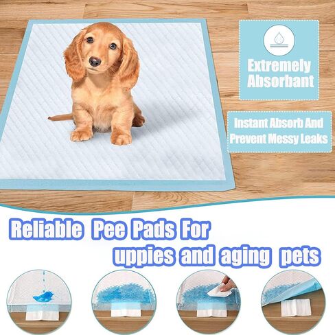 40 قطعة من وسائد تدريب الكلاب والجراء سميكة من 6 طبقات مانعة للتسرب للتحكم في الروائح الكريهة سريعة الجفاف للكلاب والقطط والحيوانات الاليفة الاخرى in Kuwait