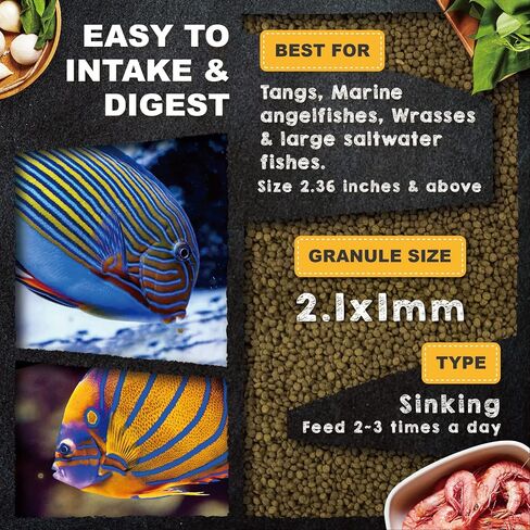 Ultra Fresh Marine Fish Food, 75% Sword Prawns + Squids, Natural Protein, Color Enhancement, for Small Saltwater Fish, Marine Shrimp Patties S 1.86oz in Saudi Arabia