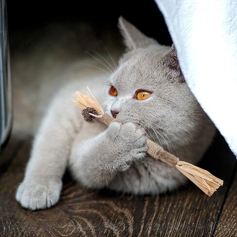 PAKESI Catnip Sticks 4-Piece Set of cat Toys, Silver Cane Cleaning cat Teeth, Indoor cat Interactive Toys, Suitable for All Cats Chewing Sticks to Relieve Stress in Kuwait