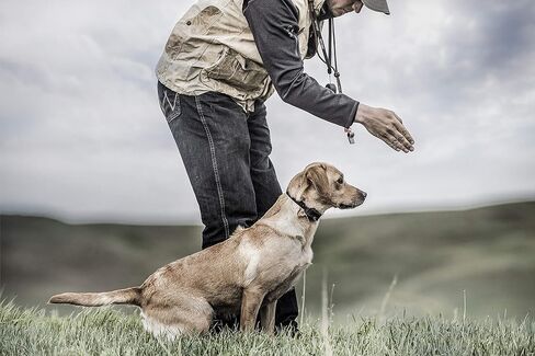 طوق الصدمات الكهربائي لتدريب الكلاب من سبورت دوج SD-425X مع جهاز تحكم عن بعد للكلاب الصغيرة والمتوسطة والكبيرة - نطاق 500 ياردة، اهتزاز، نغمة، ما يصل إلى 21 مستوى تحفيز، مقاوم للماء، طوق إلكتروني قابل لإعادة الشحن in Kuwait