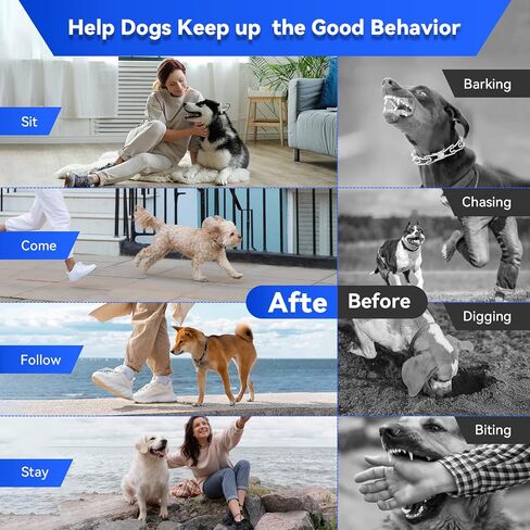 Zigpet Dog Training Collar with Remote Range 2000Ft, Dog Shock Collar with 3 Safe Training Modes, Beep, Shock, Vibration, Electric Shock Collar IP67 Waterproof Rechargeable for Large Medium Small Dogs in Saudi Arabia