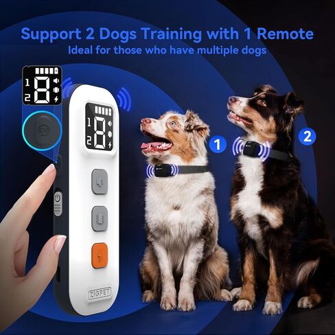 Zigpet Dog Training Collar with Remote Range 2000Ft, Dog Shock Collar with 3 Safe Training Modes, Beep, Shock, Vibration, Electric Shock Collar IP67 Waterproof Rechargeable for Large Medium Small Dogs in Saudi Arabia
