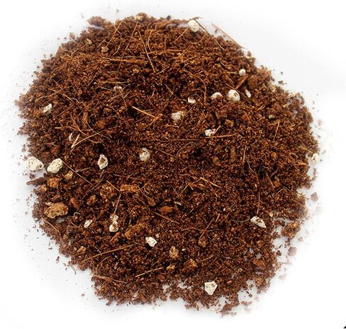 Hamiledyi الزواحف ألياف جوز الهند الركيزة خليط التربة السبات البيرلايت الفيرميكوليت 3 في 1 الفراش تررم للسحلية السلحفاة الحرباء الأفعى الإغوانا جيكوس فورغ in Saudi Arabia