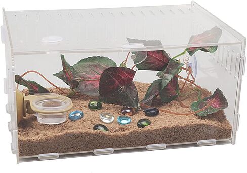 yzexi Magnetic Acrylic Reptile Cage,12X8X6 inch Breeding Box Terrarium Tank,Clear Feeding Habitat for Tarantula Scorpion Sling Isopods Lizards Roach Invertebrates Insect Mantis transparent in Kuwait