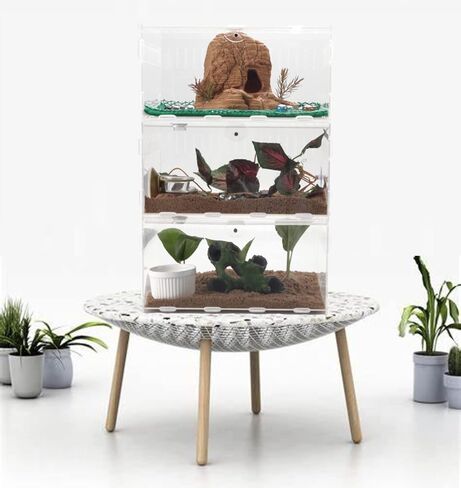 yzexi Magnetic Acrylic Reptile Cage,12X8X6 inch Breeding Box Terrarium Tank,Clear Feeding Habitat for Tarantula Scorpion Sling Isopods Lizards Roach Invertebrates Insect Mantis transparent in Kuwait