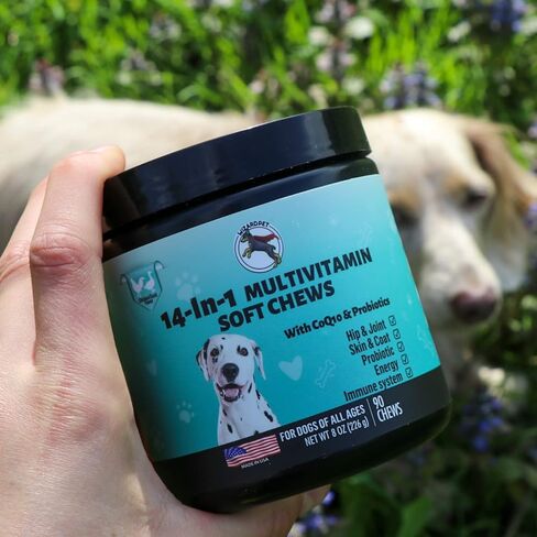 ويزاردبيت 14 في 1 فيتامينات متعددة للكلاب | مكمل يومي للكلاب يحتوي على الجلوكوزامين بروبيوتيك، والكوندرويتين، وأوميجا 3 | دعم مفصل الورك، معطف الجلد، صحة القلب، الأمعاء والمناعة | 90 مضغة ناعمة in Kuwait