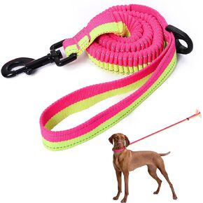 Mile High Life | 3-5 Feet Bungee Dog Leash for Running | Reflective Gentle Leader for Dogs Large or Small | Running Leash for Large Dog(Brown)