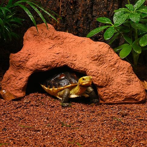 فلوشباي، موائل الزواحف والبرمائيات، مخابئ الكهف، الطين الطبيعي، الزواحف الكبيرة، ديكورات تررم للتنين الملتحي، السحالي، أبو بريص، الفهد، الحرباء، الضفادع، السلاحف، الثعابين in Kuwait