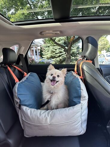 مقعد سيارة للكلاب - حامل كلاب ممتاز للكلاب الصغيرة والمتوسطة، مع مقابض مدمجة - حامل كلاب مع جزء داخلي من القطن الناعم - مقعد سيارة للحيوانات الاليفة قابل للغسل ومقاوم للماء (رمادي/ازرق) in Kuwait