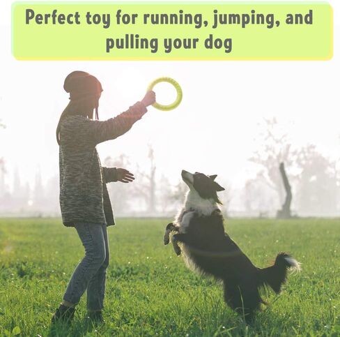 PetSpy Dog Ring Toy – Flying Ring for Outdoor Play, Floating Training & Fetch Toy for Throwing, Catching & Chewers – Durable EVA Flying Disc for Small, Medium & Large Dogs in Kuwait
