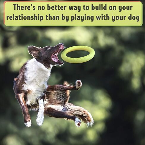 PetSpy Dog Ring Toy – Flying Ring for Outdoor Play, Floating Training & Fetch Toy for Throwing, Catching & Chewers – Durable EVA Flying Disc for Small, Medium & Large Dogs in Kuwait