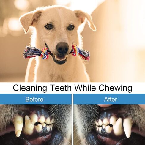 ألعاب مضغ للكلاب من بلوتوس للمضغ العدواني، 8 عبوات من ألعاب حبل الكلاب التفاعلية، ألعاب للكلاب متينة من القطن قابلة للغسل، ألعاب تسنين للكلاب الصغيرة والمتوسطة in Kuwait
