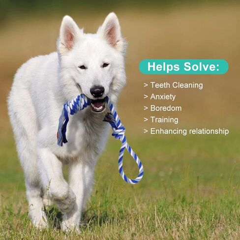 ألعاب مضغ للكلاب من بلوتوس للمضغ العدواني، 8 عبوات من ألعاب حبل الكلاب التفاعلية، ألعاب للكلاب متينة من القطن قابلة للغسل، ألعاب تسنين للكلاب الصغيرة والمتوسطة in Kuwait
