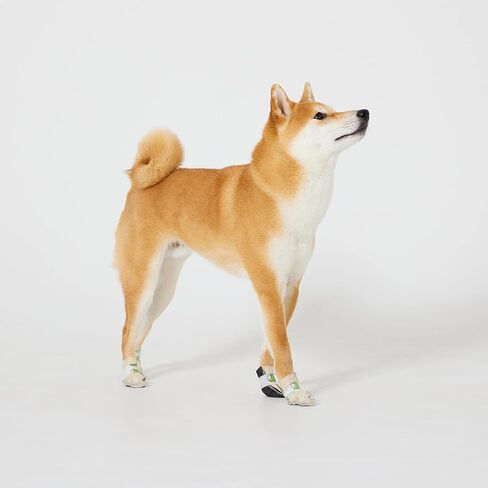WICKEDPUP Pet Booties for Dogs & Cats, 48ct | Disposable Socks to Stop Licking | Puppy Shoes for Paw Protection against Heat, Hot Pavement, Snow | Wound Recovery Boots Foot Covers for Injured Paw (S) in Kuwait