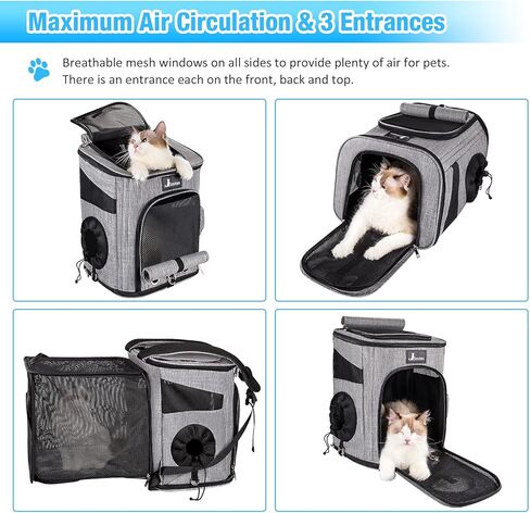 Siivton Cat Backpack Carrier، حقيبة ظهر لحمل الحيوانات الأليفة قابلة للتوسيع معتمدة من شركة الطيران للكلاب الصغيرة والقطط، حقيبة ظهر مع شبكة مسامية، مع حزام أمان داخلي، وسائد خلفية مرنة، رمادي in Kuwait