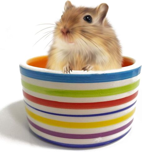 kathson Hamster Bowl Ceramic Small Animal Water Bowl Prevent Tipping Moving and Chewing Food Dish for Guinea Pig Gerbil Ferret Syrian Hamster Chinchilla Rat Hedgehog Bunny (3 Pcs) in Saudi Arabia