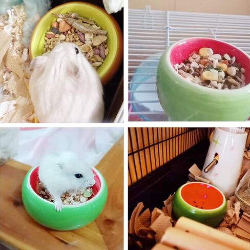kathson Hamster Bowl Ceramic Small Animal Water Bowl Prevent Tipping Moving and Chewing Food Dish for Guinea Pig Gerbil Ferret Syrian Hamster Chinchilla Rat Hedgehog Bunny (3 Pcs) in Saudi Arabia
