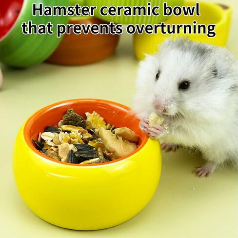 kathson Hamster Bowl Ceramic Small Animal Water Bowl Prevent Tipping Moving and Chewing Food Dish for Guinea Pig Gerbil Ferret Syrian Hamster Chinchilla Rat Hedgehog Bunny (3 Pcs) in Saudi Arabia