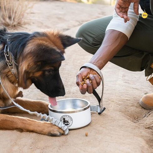 Stainless Steel Dog Bowl, 32oz Capacity, Non-Slip, BPA Free, Easy to Clean in Saudi Arabia