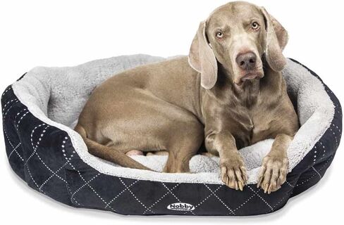 Nobby Padded Plush Oval Bed with Reversible Cushion Ceno, 55 x 50 x 21 cm, Black in Kuwait