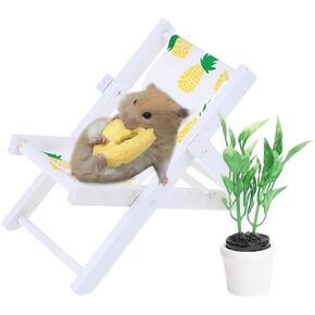 HAONIU كرسي الشاطئ الهامستر مع مجموعة النباتات الخضراء صور الدعائم ديكور لوازم اللعب كبيرة للحيوانات الصغيرة القنفذ الطيور الببغاء الماوس شينشيلا الجرذ جربيل قزم in Kuwait