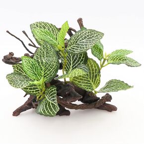 HRRIVE الزواحف الغابات المطيرة النباتات الأرضية الزينة لثعبان السحلية الملتحي التنين متوج أبو بريص البرمائيات وديكور الموائل تررم in Kuwait