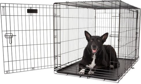 Precision Pet Products Two Door Great Crate Wire Dog Crate, 30 Inch, For Pets 30-50 Lbs, With 5-Point Locking System in Kuwait