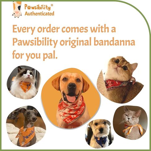Reinvented Pet Nail Clippers for Your Pal - USB Rechargeable LED Light for Bloodline | Razor Sharp and Durable Blade | Vets Recommended Trimming Tool for Dogs and Cats in Saudi Arabia