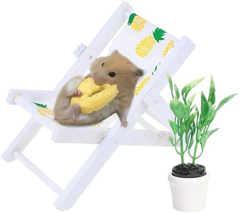 HAONIU كرسي الشاطئ الهامستر مع مجموعة النباتات الخضراء صور الدعائم ديكور لوازم اللعب كبيرة للحيوانات الصغيرة القنفذ الطيور الببغاء الماوس شينشيلا الجرذ جربيل قزم in Kuwait