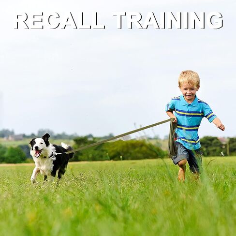 Demigreat Long Leash for Dog Training 20ft 30ft 50ft 100ft - Obedience Recall Training Lead for Large Medium Small Dogs - Great for Training Playing Camping Backyard, with Poop Bags Dispenser&Pet Bowl in Saudi Arabia