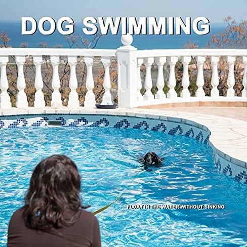 Demigreat Long Leash for Dog Training 20ft 30ft 50ft 100ft - Obedience Recall Training Lead for Large Medium Small Dogs - Great for Training Playing Camping Backyard, with Poop Bags Dispenser&Pet Bowl in Saudi Arabia