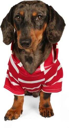 DJANGO Dog Hoodie - Soft, Stretchy, & Cozy Sweatshirts for Dogs - Black Winter Dog Sweaters for Dachshunds and Small Dogs - Machine Washable Hoodie for Dogs with Elastic Waistband and Harness Hole in Kuwait