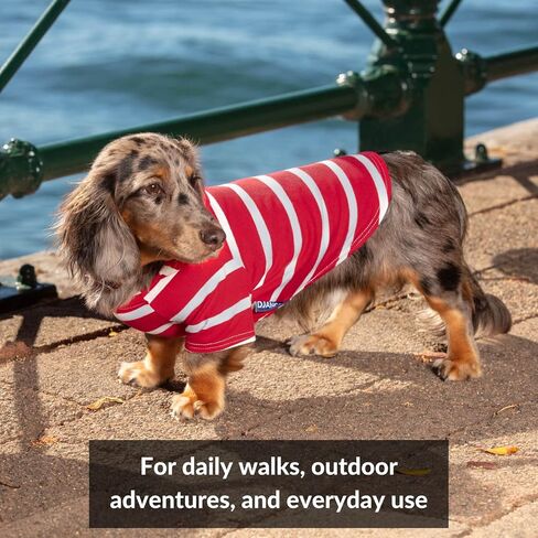 DJANGO Dog Hoodie - Soft, Stretchy, & Cozy Sweatshirts for Dogs - Black Winter Dog Sweaters for Dachshunds and Small Dogs - Machine Washable Hoodie for Dogs with Elastic Waistband and Harness Hole in Kuwait