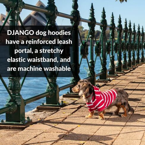 DJANGO Dog Hoodie - Soft, Stretchy, & Cozy Sweatshirts for Dogs - Black Winter Dog Sweaters for Dachshunds and Small Dogs - Machine Washable Hoodie for Dogs with Elastic Waistband and Harness Hole in Kuwait