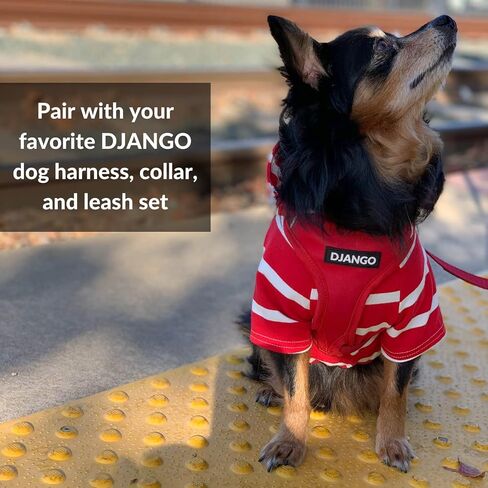 DJANGO Dog Hoodie - Soft, Stretchy, & Cozy Sweatshirts for Dogs - Black Winter Dog Sweaters for Dachshunds and Small Dogs - Machine Washable Hoodie for Dogs with Elastic Waistband and Harness Hole in Kuwait