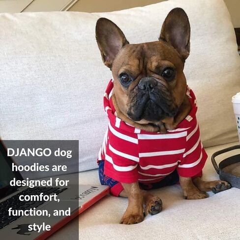 DJANGO Dog Hoodie - Soft, Stretchy, & Cozy Sweatshirts for Dogs - Black Winter Dog Sweaters for Dachshunds and Small Dogs - Machine Washable Hoodie for Dogs with Elastic Waistband and Harness Hole in Kuwait