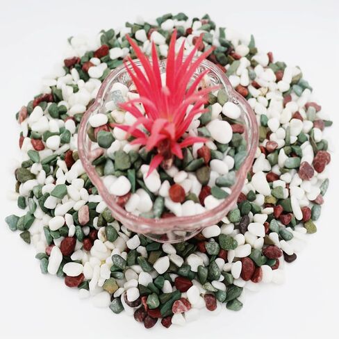 SZGULAIKE Gravel for Aquarium, Natural Mixed Color Pebbles Fish Tank Gravel Small Garden Rocks Soil Cover,Jade Bean Pebbles,for Outdoor & Indoor Home Plants Garden Decoration (Mix Color) (2.2LBs) in Saudi Arabia