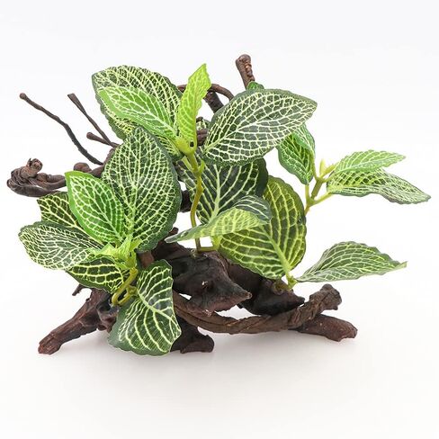 HRRIVE الزواحف الغابات المطيرة النباتات الأرضية الزينة لثعبان السحلية الملتحي التنين متوج أبو بريص البرمائيات وديكور الموائل تررم in Kuwait