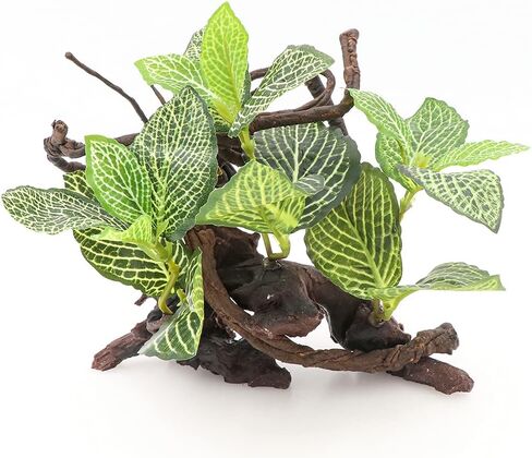 HRRIVE الزواحف الغابات المطيرة النباتات الأرضية الزينة لثعبان السحلية الملتحي التنين متوج أبو بريص البرمائيات وديكور الموائل تررم in Kuwait