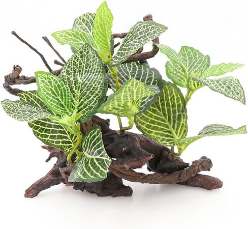 HRRIVE الزواحف الغابات المطيرة النباتات الأرضية الزينة لثعبان السحلية الملتحي التنين متوج أبو بريص البرمائيات وديكور الموائل تررم in Kuwait