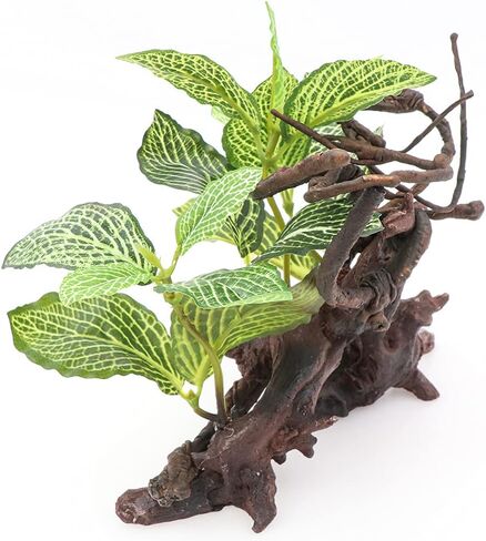 HRRIVE الزواحف الغابات المطيرة النباتات الأرضية الزينة لثعبان السحلية الملتحي التنين متوج أبو بريص البرمائيات وديكور الموائل تررم in Kuwait