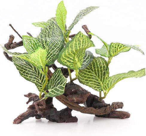 HRRIVE الزواحف الغابات المطيرة النباتات الأرضية الزينة لثعبان السحلية الملتحي التنين متوج أبو بريص البرمائيات وديكور الموائل تررم in Kuwait