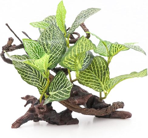 HRRIVE الزواحف الغابات المطيرة النباتات الأرضية الزينة لثعبان السحلية الملتحي التنين متوج أبو بريص البرمائيات وديكور الموائل تررم in Kuwait