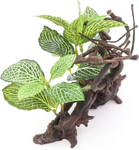 HRRIVE الزواحف الغابات المطيرة النباتات الأرضية الزينة لثعبان السحلية الملتحي التنين متوج أبو بريص البرمائيات وديكور الموائل تررم in Kuwait