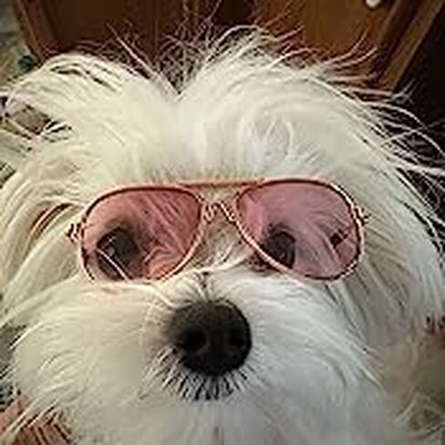 4 قطع نظارات شمسية للحيوانات الاليفة، نظارات شمسية كلاسيكية كلاسيكية ريترو للكلاب والقطط الصغيرة، نظارات شمسية دائرية للحفلات التنكرية والصور in Kuwait