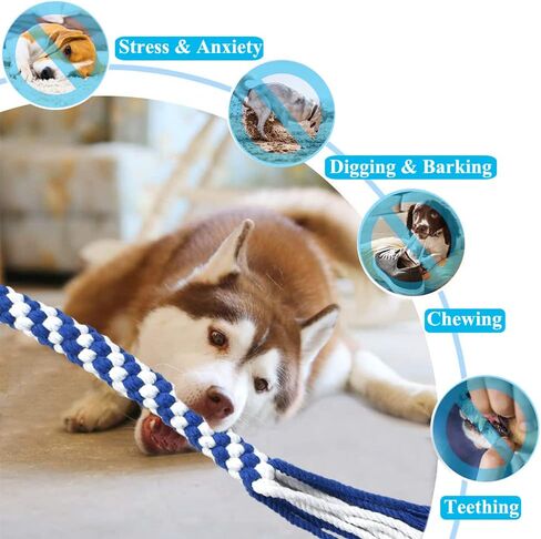 ASOCEA 3 Pack Dog Rope Toys Flirt Pole Replacement for Small Medium Dogs in Kuwait