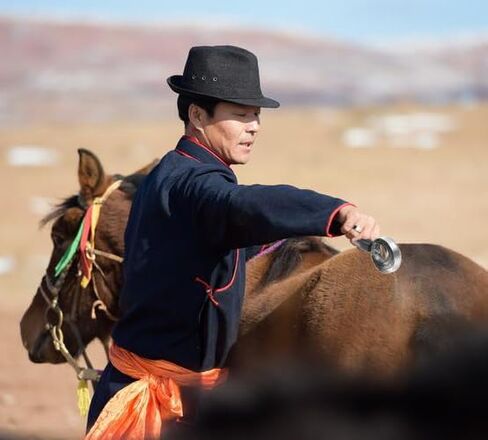 5 عبوات من 4 حلقات مشط كاري، فرشاة حصان مزدوجة الجوانب، فرشاة كاري معدنية قابلة للعكس، مشط كاري من الفولاذ المقاوم للصدأ مع قبضة ناعمة لتصفيف البقرة والأغنام والماعز والحيوانات الأليفة، حصان، أسود in Kuwait