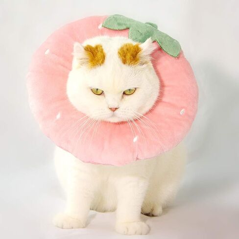Adjustable Cat Recovery Collar Soft,Cute Pet E-Collar Neck Cone After Surgery Wound Healing Protective Cone Fit for Kitties, Small Dogs(ELC05-cactus-s) in Saudi Arabia