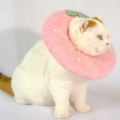 Adjustable Cat Recovery Collar Soft,Cute Pet E-Collar Neck Cone After Surgery Wound Healing Protective Cone Fit for Kitties, Small Dogs(ELC05-cactus-s) in Saudi Arabia