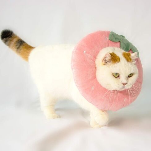 Adjustable Cat Recovery Collar Soft,Cute Pet E-Collar Neck Cone After Surgery Wound Healing Protective Cone Fit for Kitties, Small Dogs(ELC05-cactus-s) in Saudi Arabia